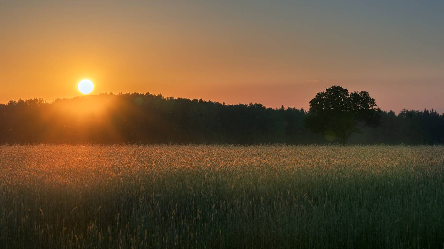 , Шимаковский Юрий