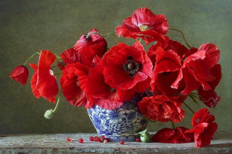 #натюрморт #фотонатюрморт #лето #цветы #художественноефото #маринафилатова #луговыецветы #stilllife #букет #маки *** фото превью