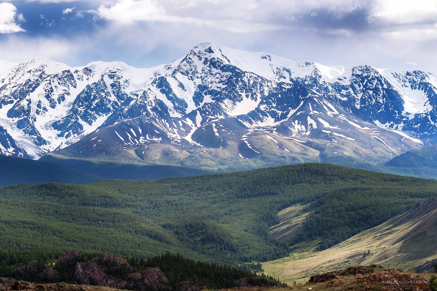 , Антон Кошетаров