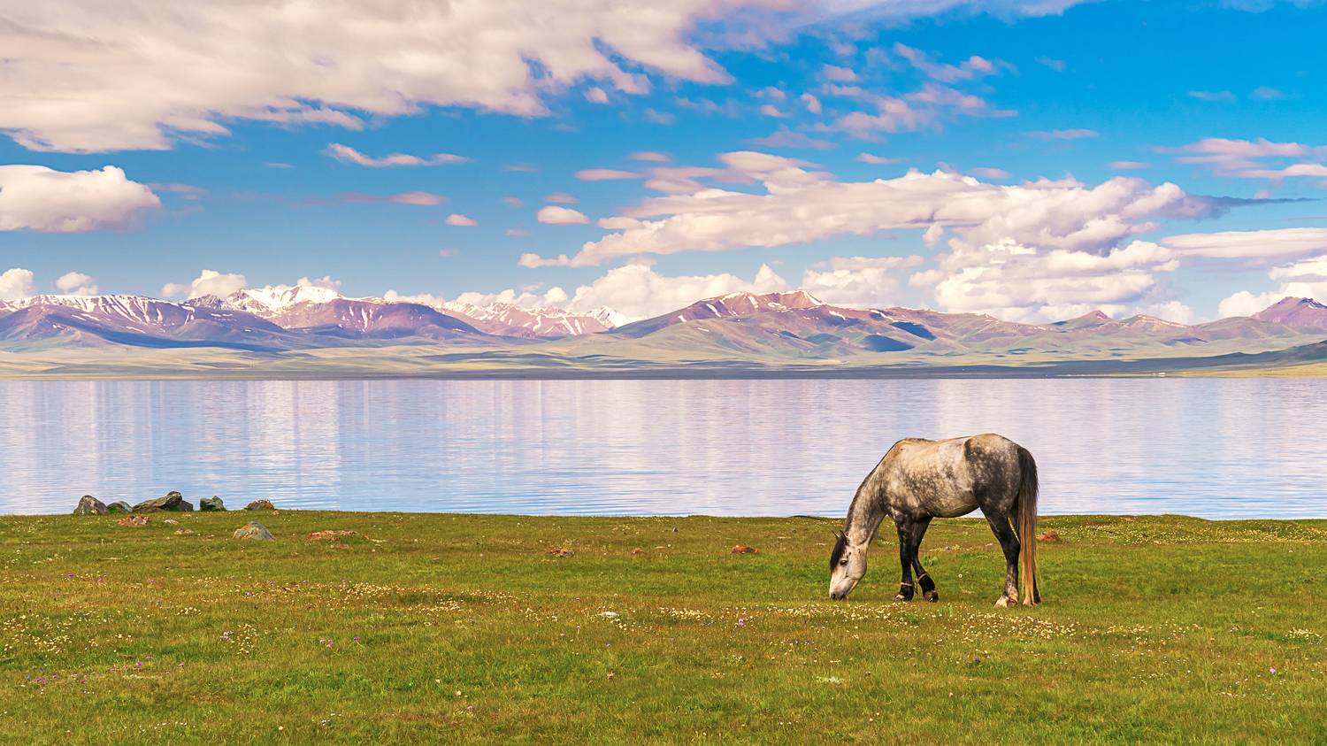 , Сергей Межин