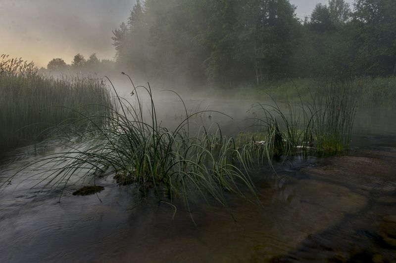 утро у ручья фото превью