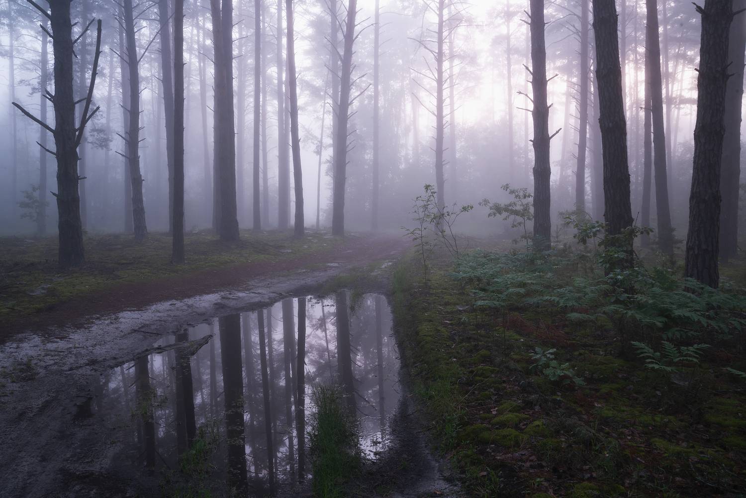 , Захаров Дмитрий