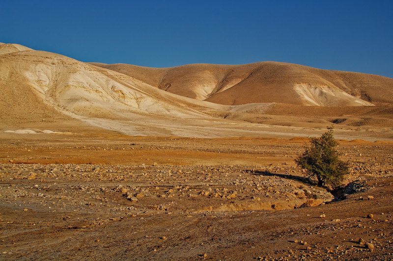 Jordan Valley фото превью