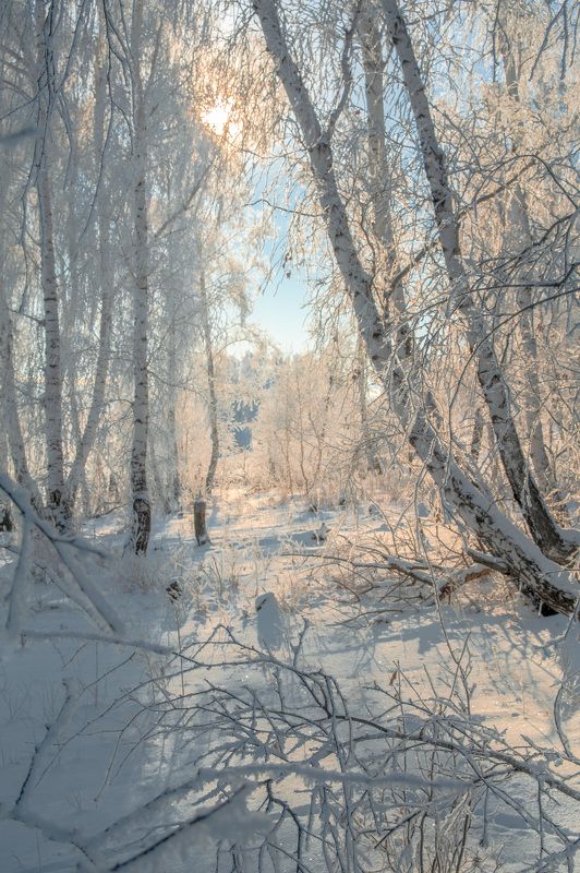 зимнее настроение фото превью