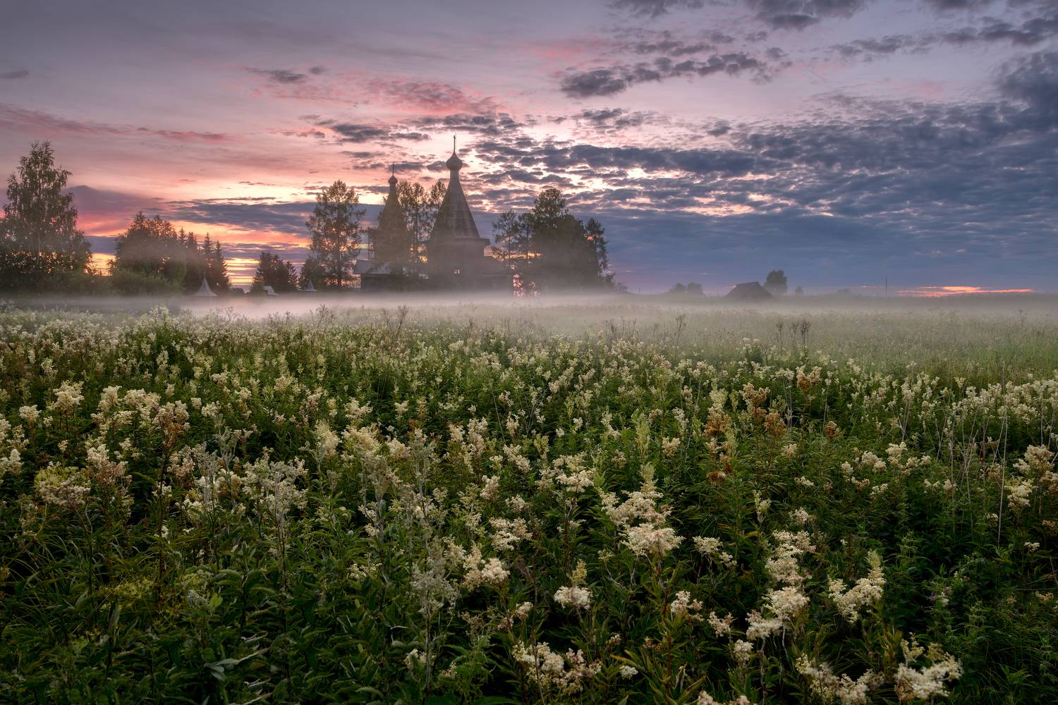 , Максим Евдокимов