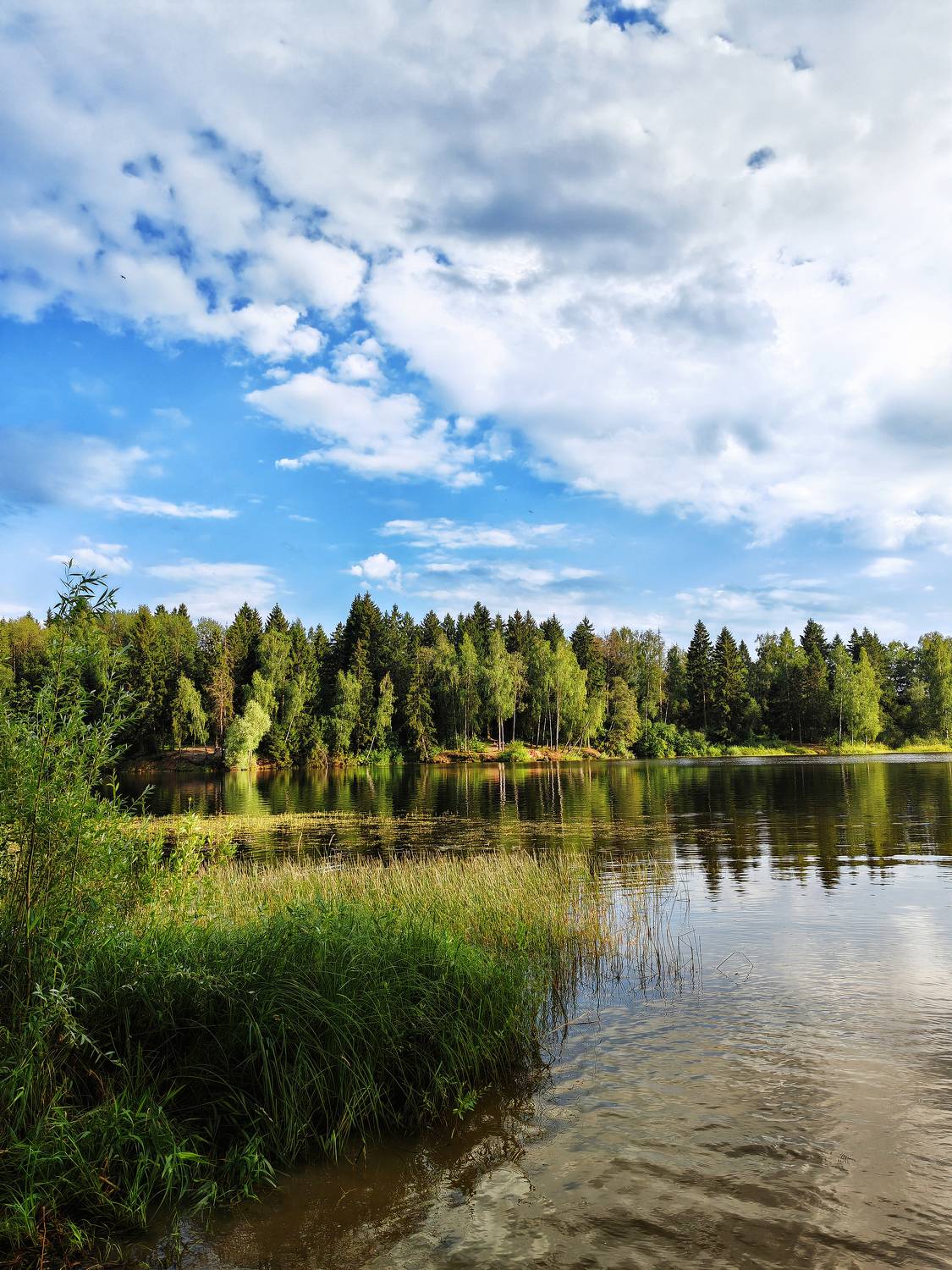 , Булатов Дмитрий