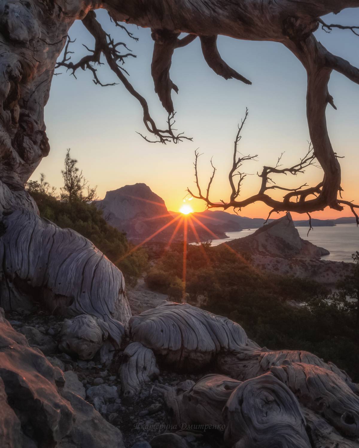 крым, новый свет, море, горы, рассвет, утро, пейзаж, crimea, landscape, Дмитренко Екатерина
