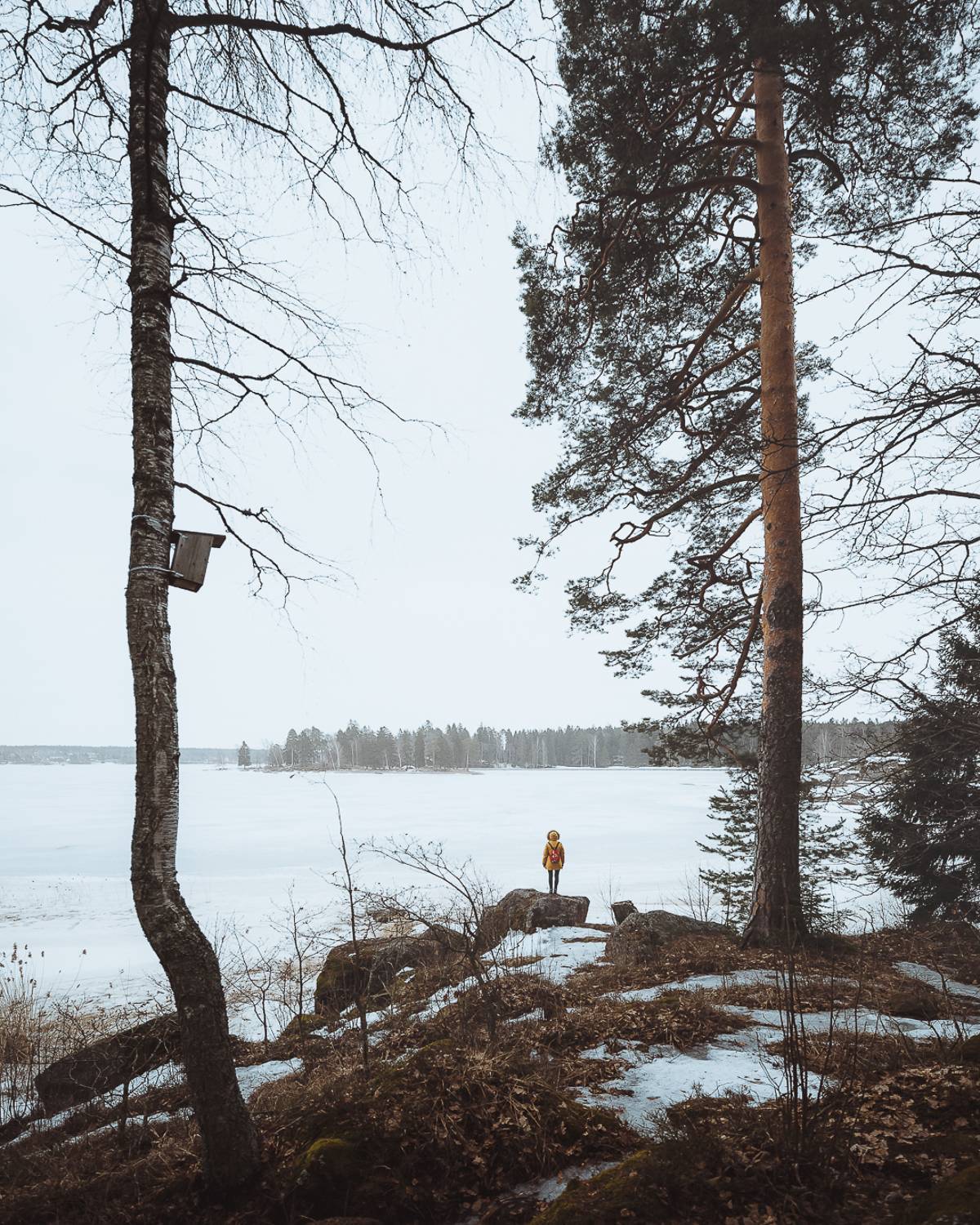 , Слава Азаров