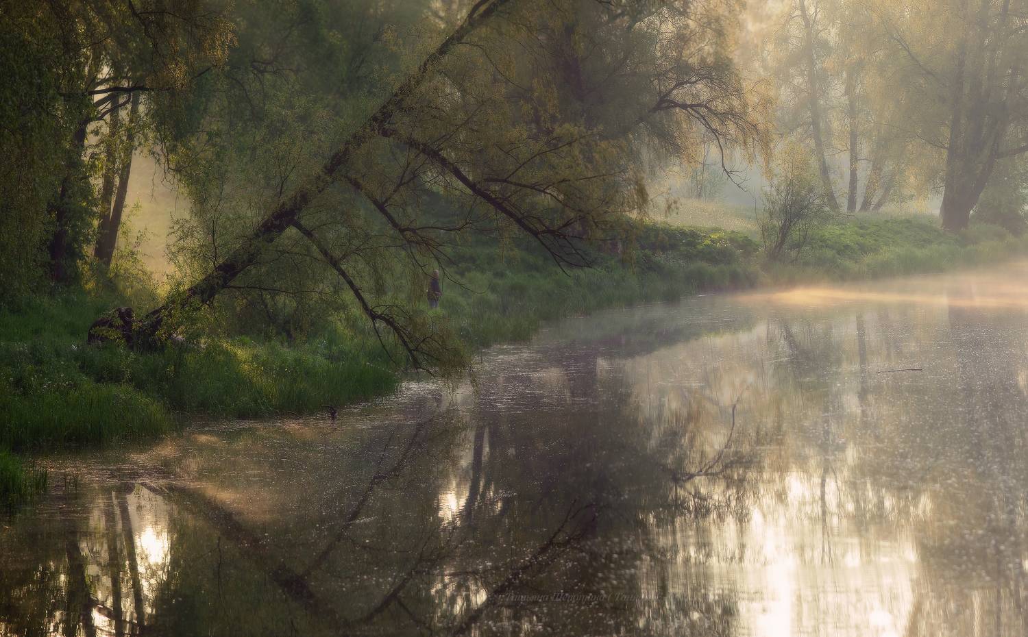питер, пейзаж, мариентальскийпарк, мариенталь,  павловск, рассвет, царскоесело, царское, landscape, tsarskoyeselo, городской пейзаж, санкт-петербург, Щепотина Татьяна