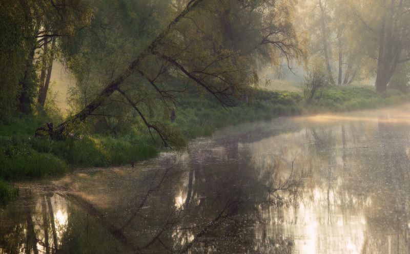 питер, пейзаж, мариентальскийпарк, мариенталь,  павловск, рассвет, царскоесело, царское, landscape, tsarskoyeselo, городской пейзаж, санкт-петербург Утро в Мариентале фото превью