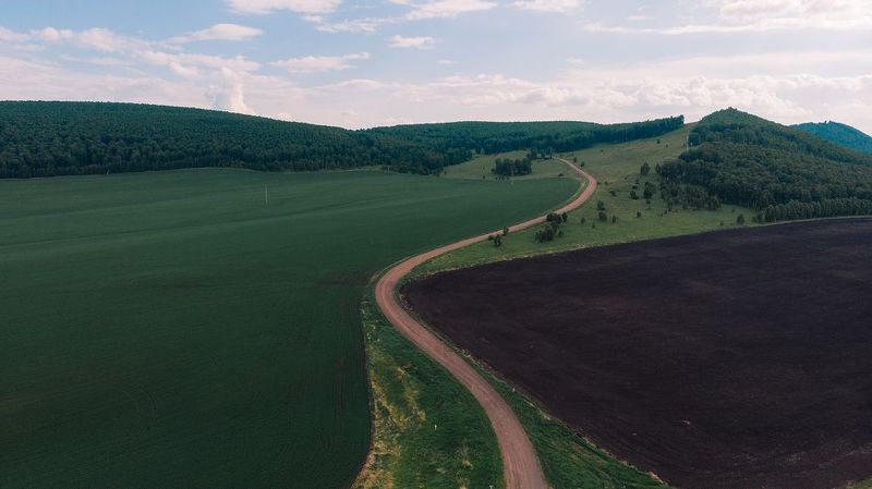 road фото превью