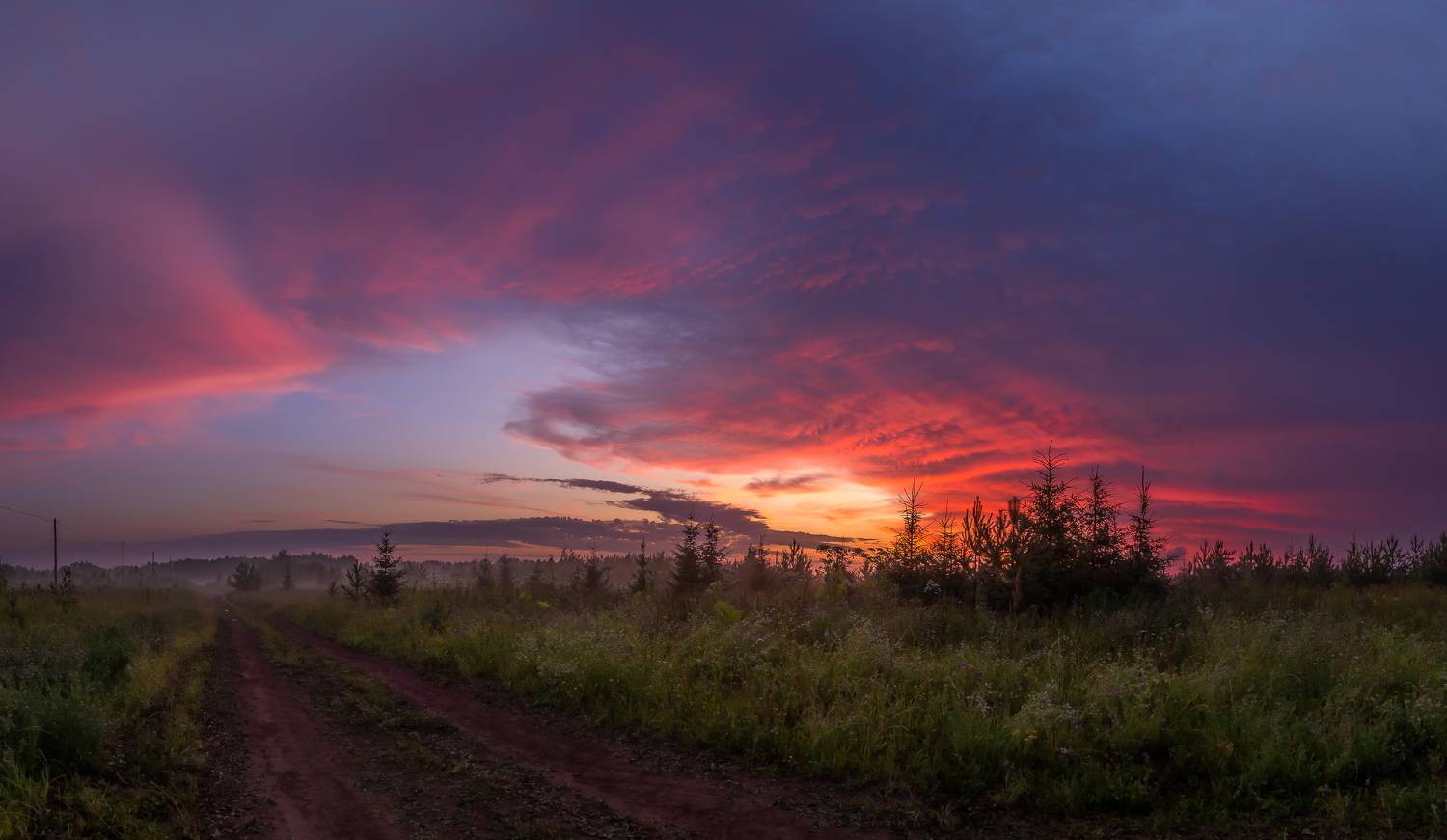 закат, лето, тепло, ярко, поле, дорога, лес, небо, тучи, облака, елки, ель, солнце, горизонт, туман, Панагушин Сергей