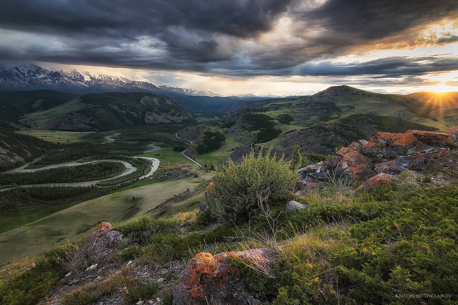 , Антон Кошетаров