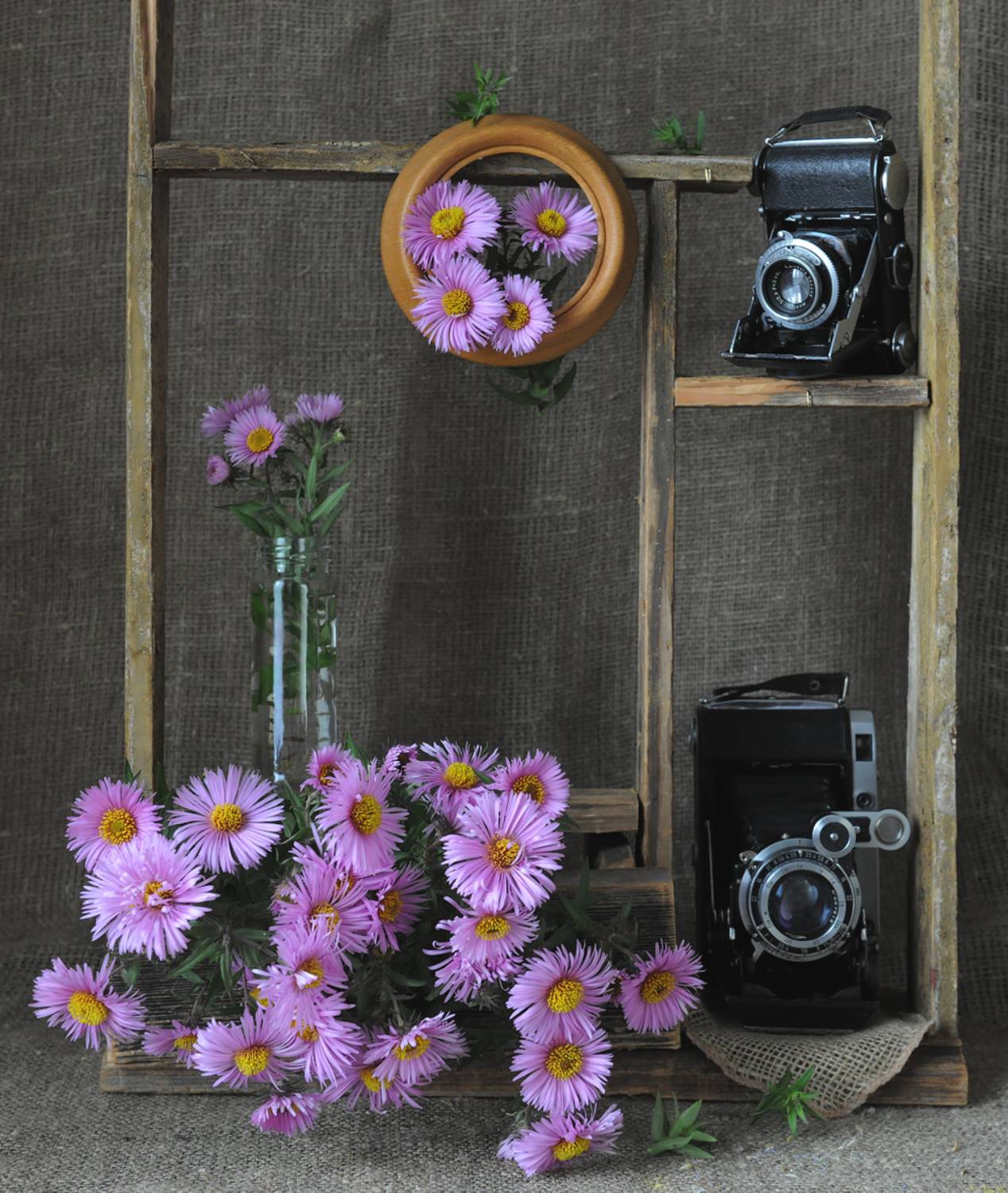 , Ольга Новикова