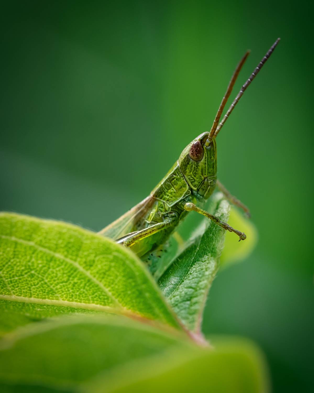 , Рагинская Ольга