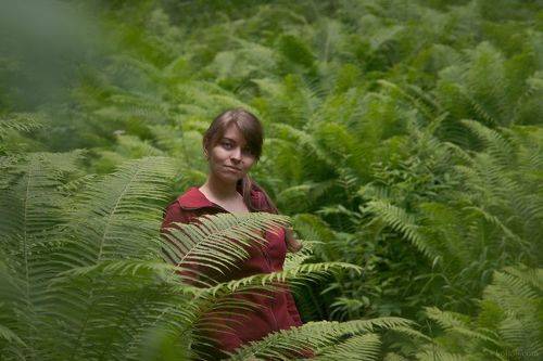 В джунглях Ленинградской области