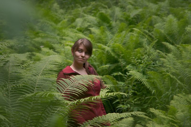 ленинградская область, рагуша, папоротники В джунглях Ленинградской области фото превью