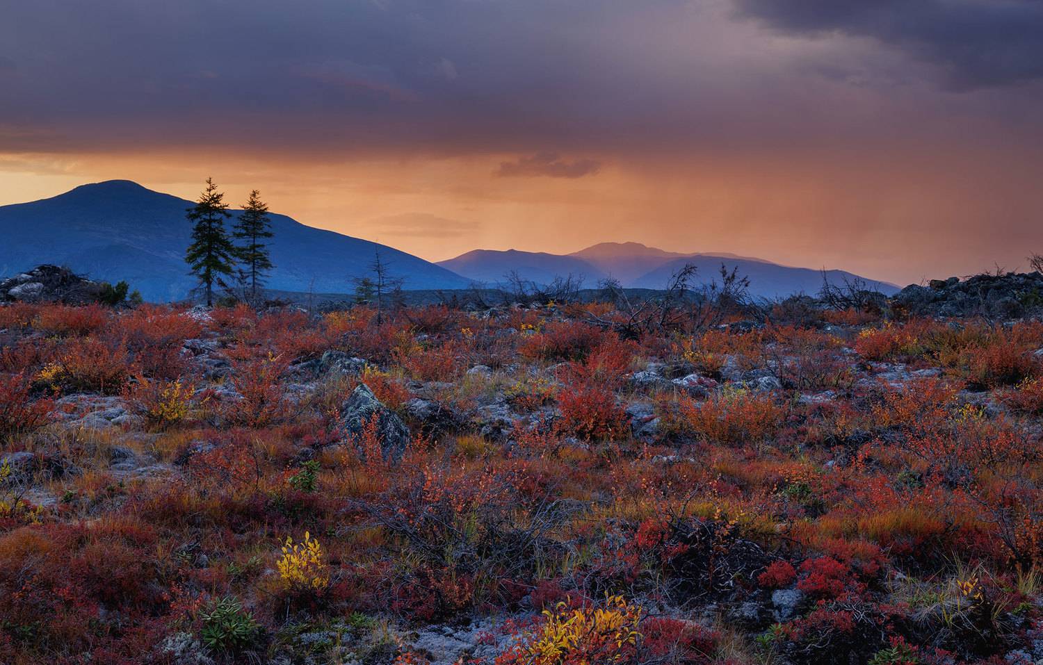 , Морозов Сергей