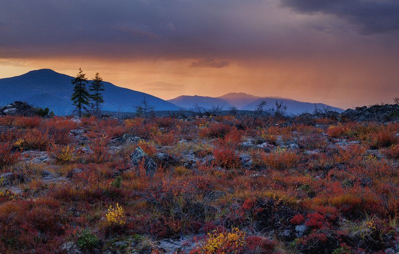 Колыма фото превью