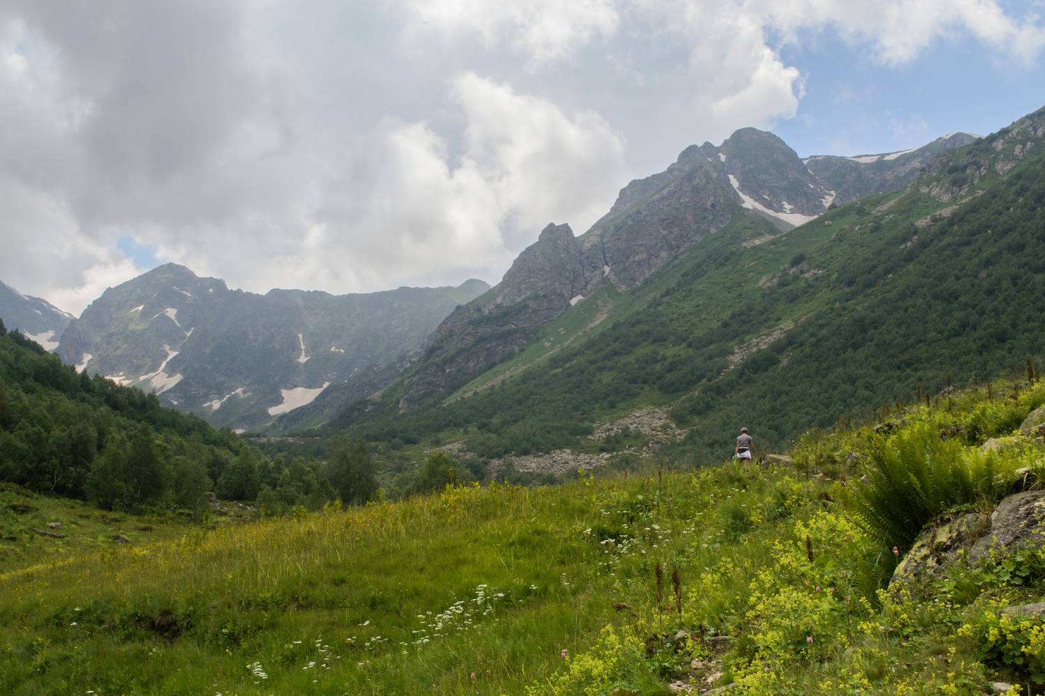 , Сергей Лысенко