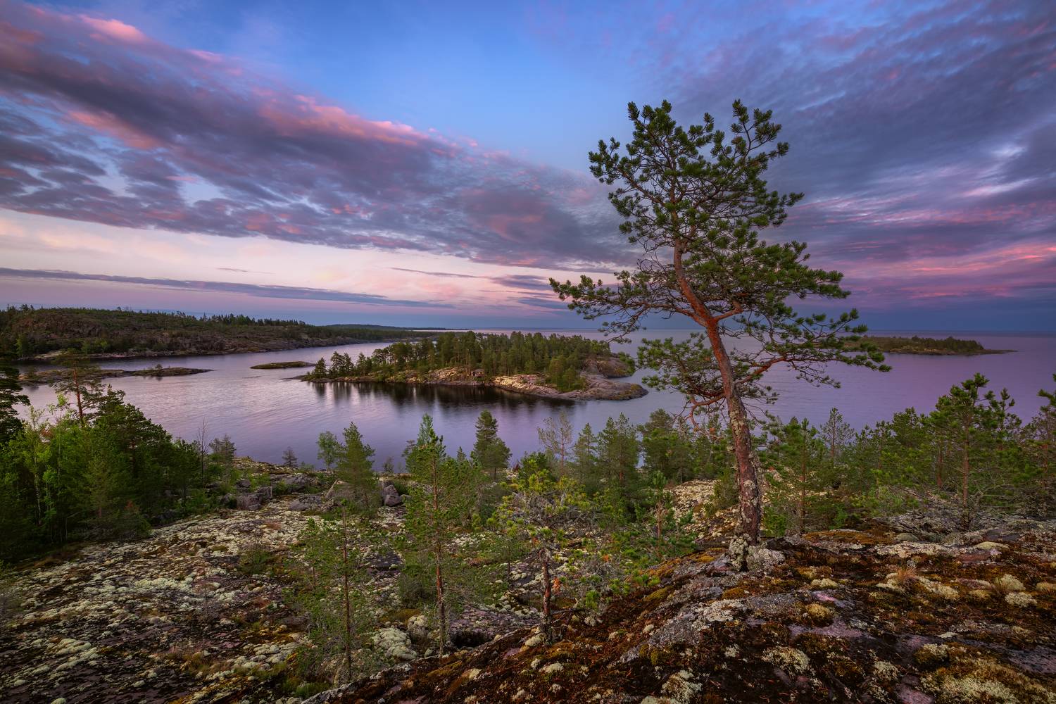 , Максим Евдокимов