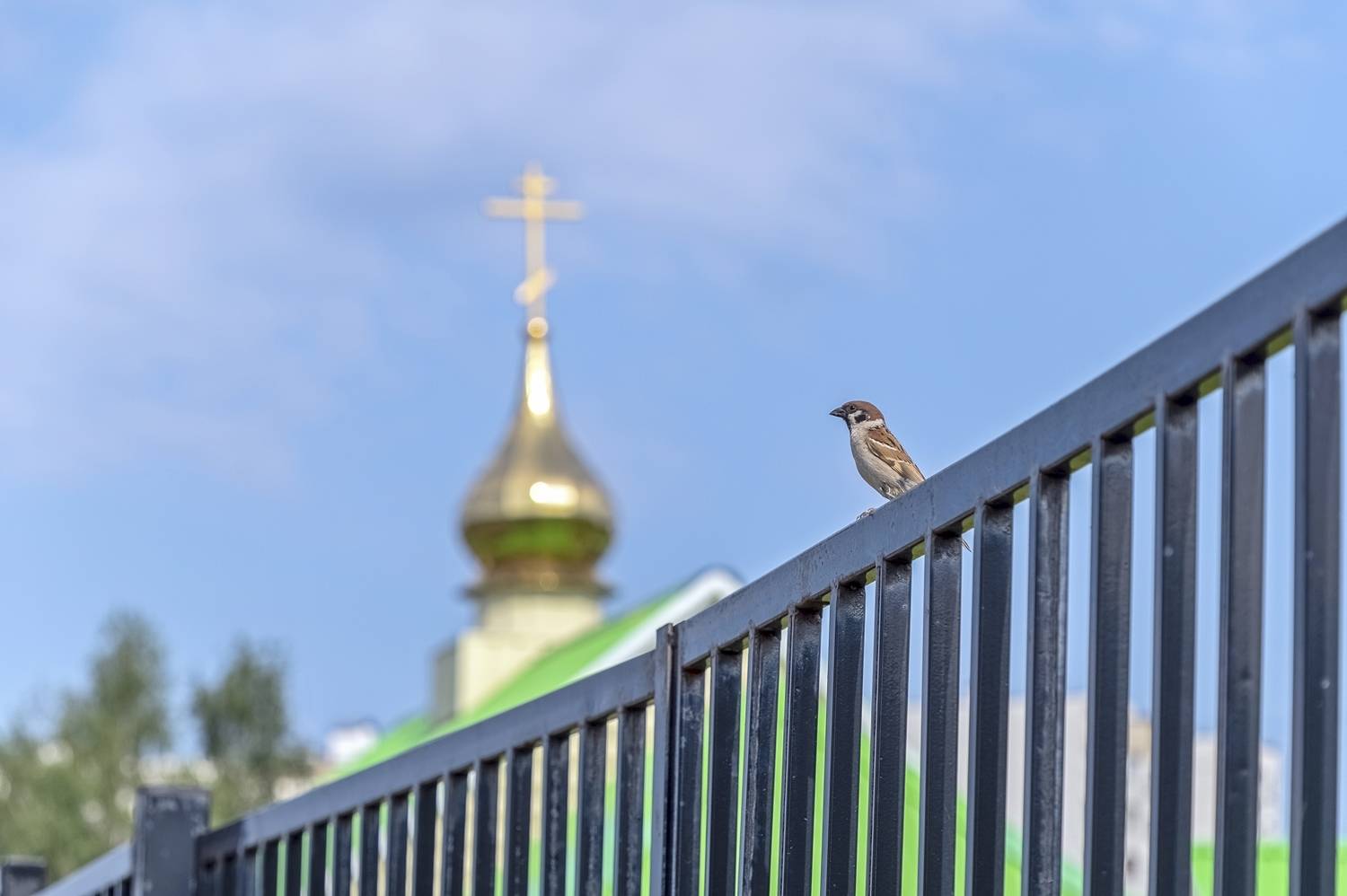 ,  Валерий