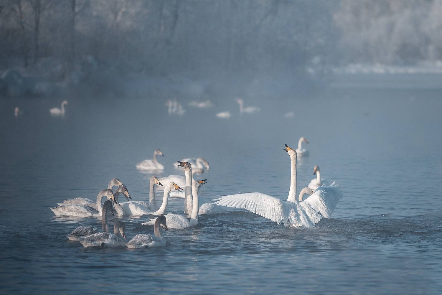 , Рагинская Ольга
