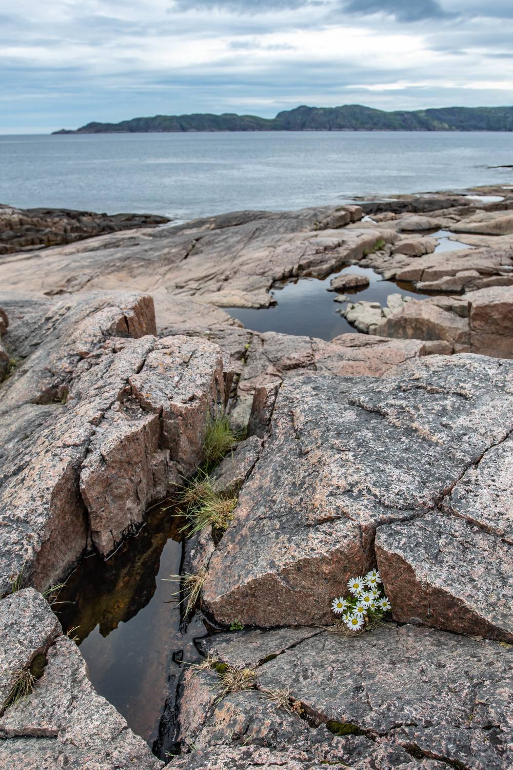 , Сергей Каверин