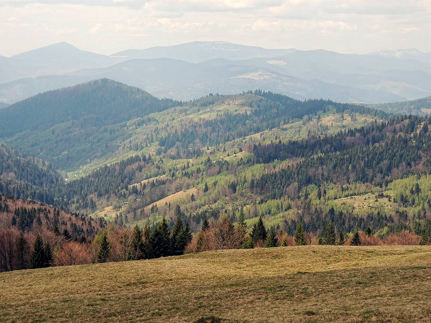 , Савоцкий Роман
