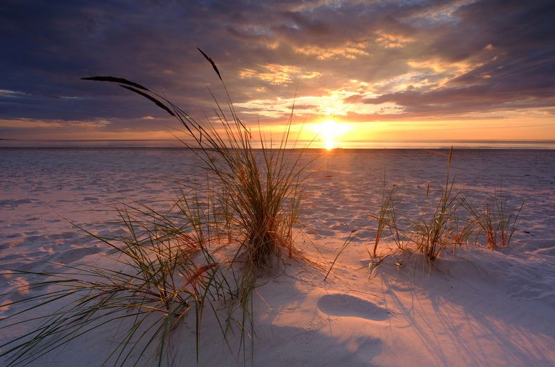 Beach on the Baltic Sea фото превью
