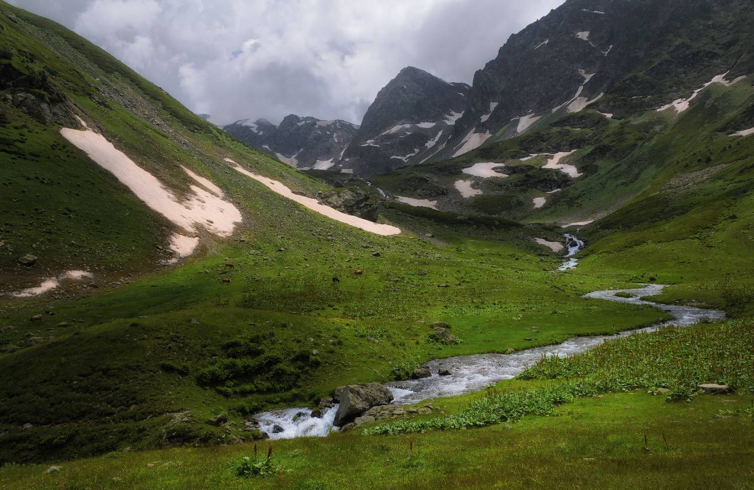 , Сергей Лысенко