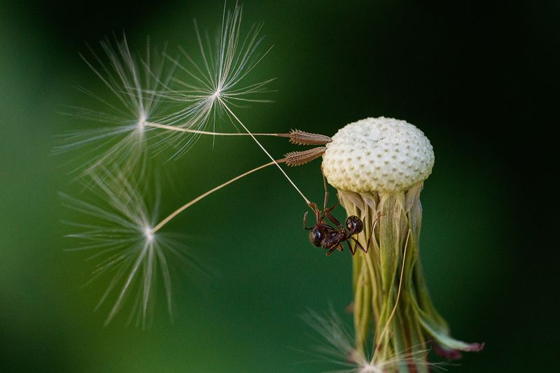 На взлет! фото превью