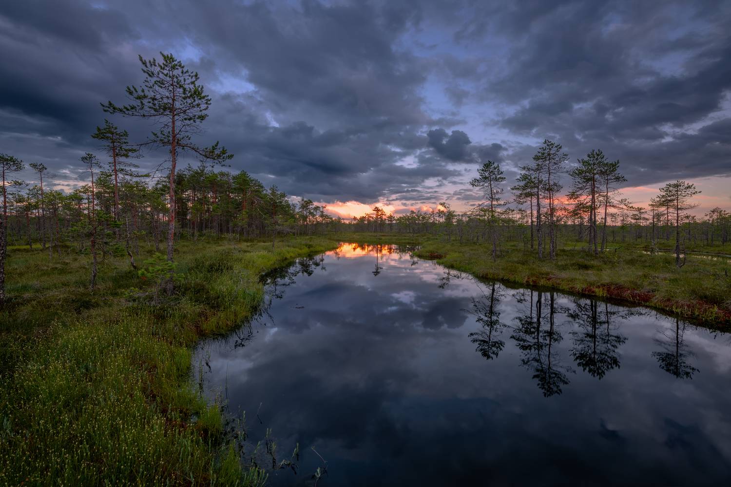 , Максим Евдокимов
