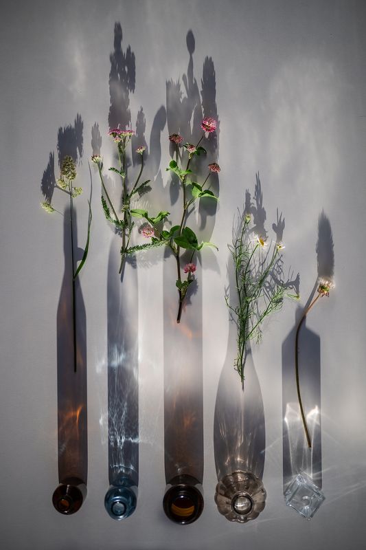 натюрморт, свет, тени, стекло Про свет фото превью