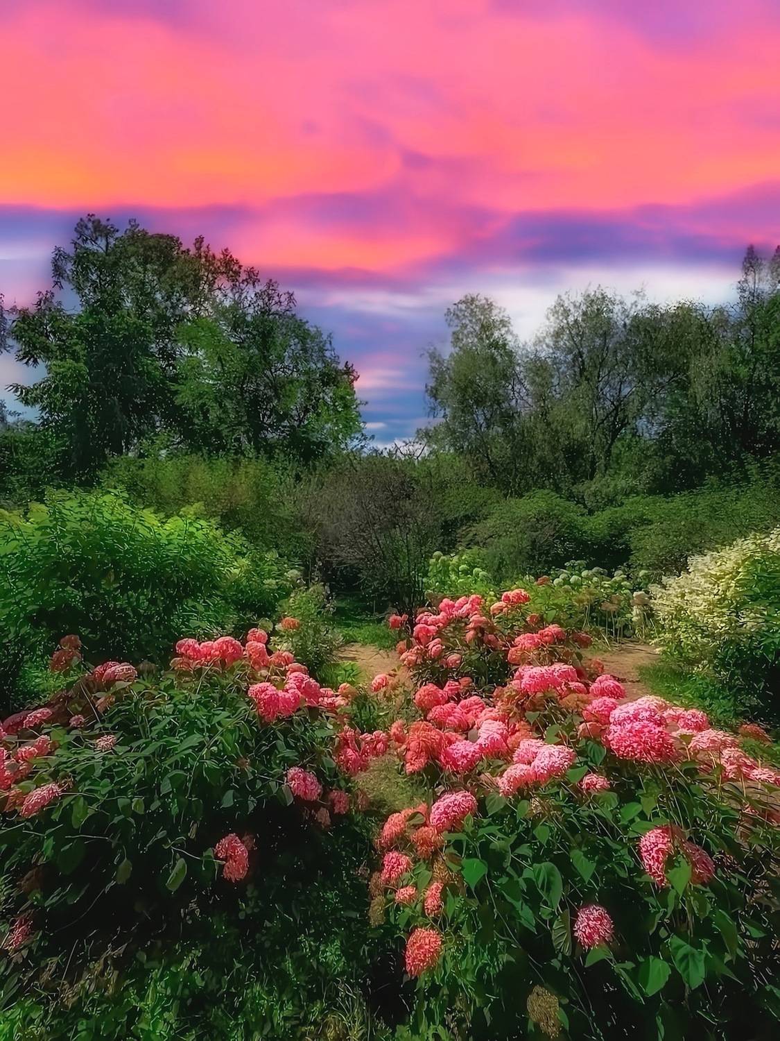 пейзаж, landscape, nature, природа, лето, summer, sunset, закат, Julia Kaissa