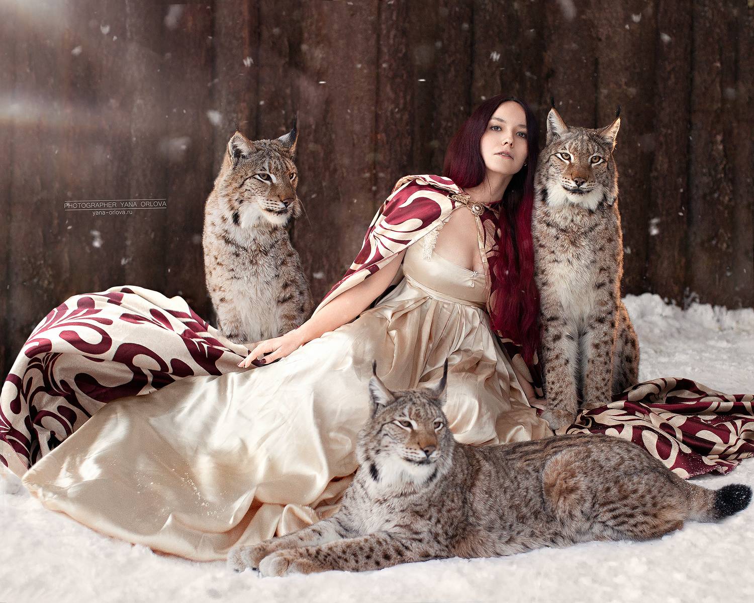 девушка, женский портрет, фотографспб, фотосессияподводой, фотографсанктпетербург, портрет, женщина, рысь,  фотограф Яна Орлова,, Яна Орлова