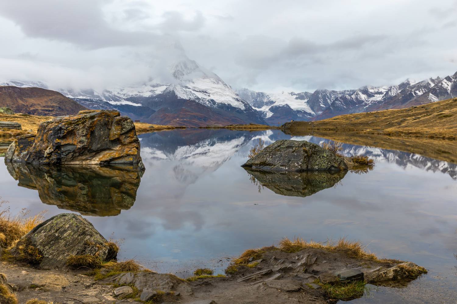 , Евгения Чех