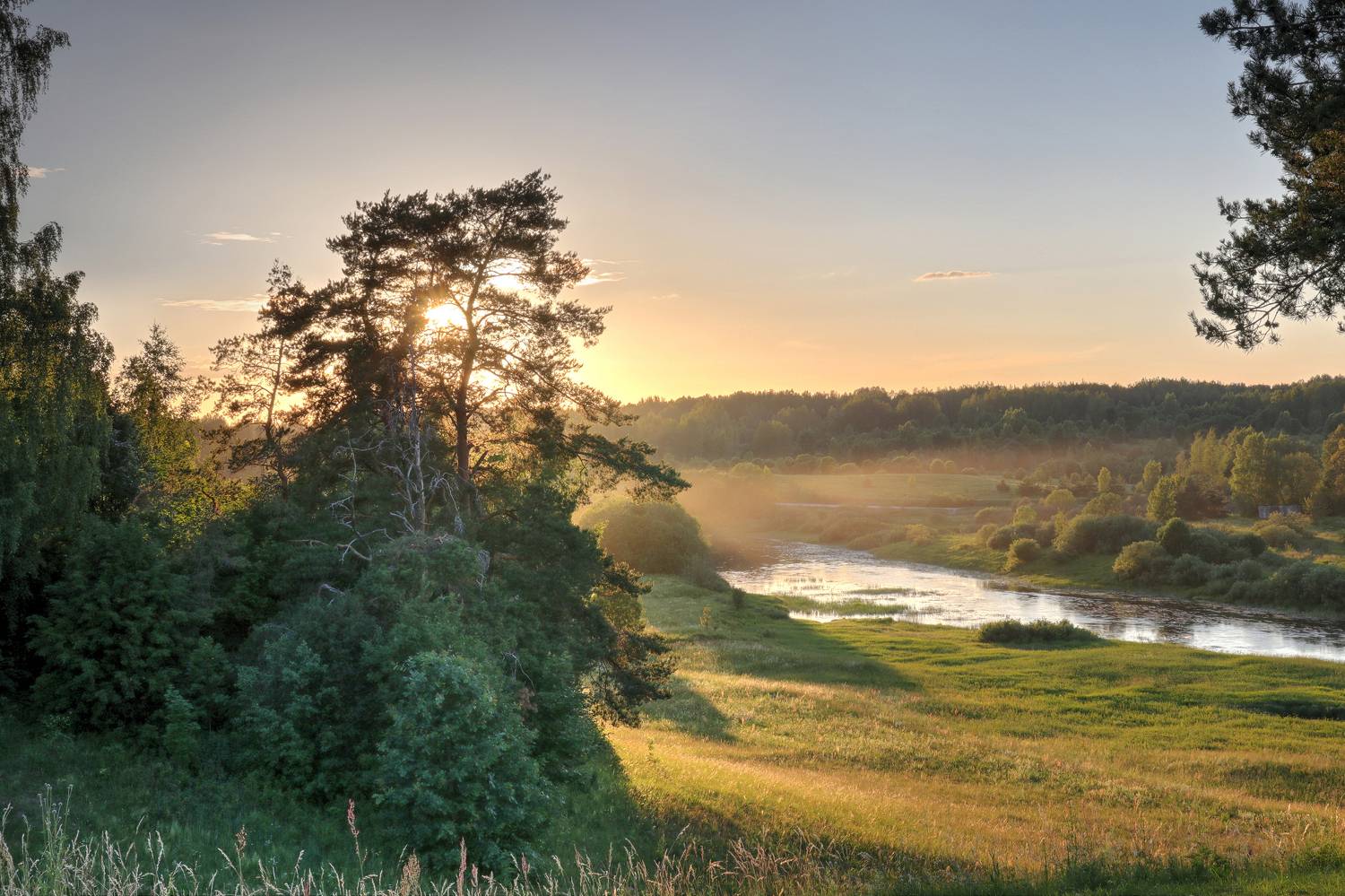 , Добролюбова Тамара