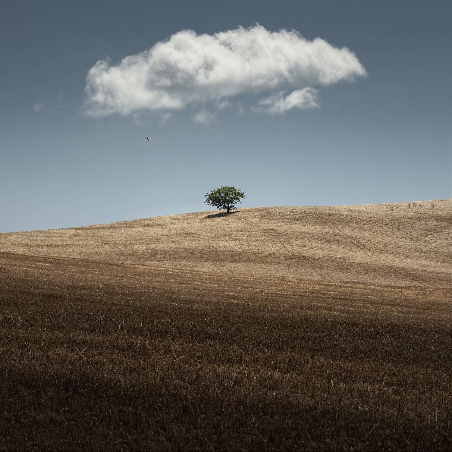 , de Franzoni Thomas