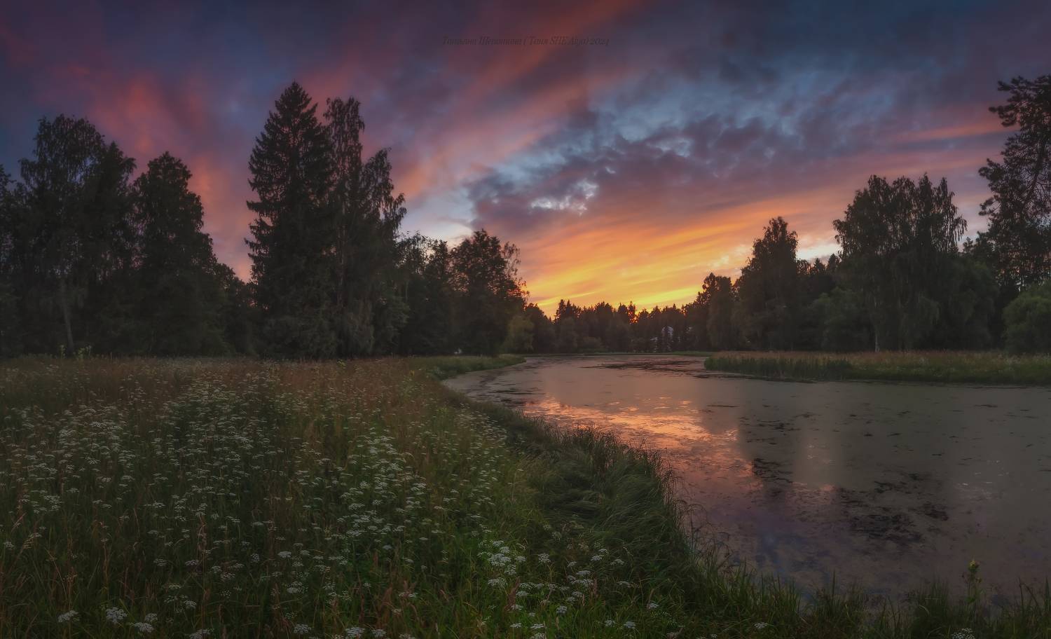 павловскийпарк, павловск, павловский, пейзаж, landscape, nature, Щепотина Татьяна