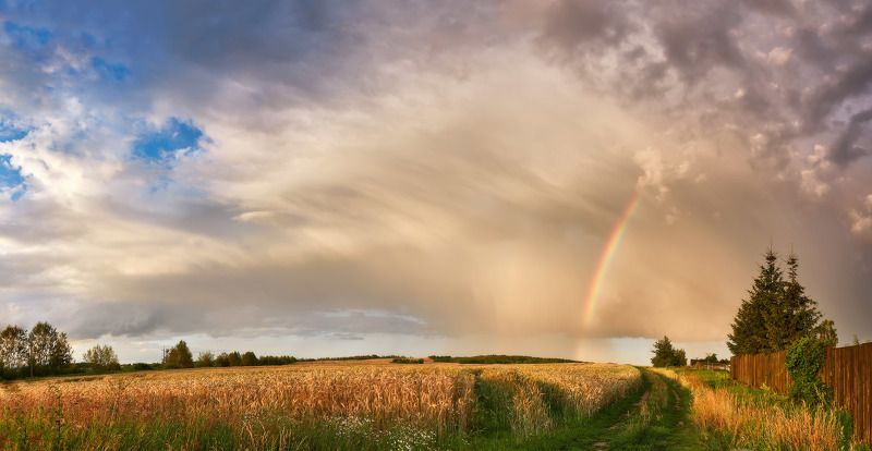 беларусь, вечер, деревня, дорога, закат, июль, лето, непогода, облака, поля, радуга Догоняя радугу фото превью