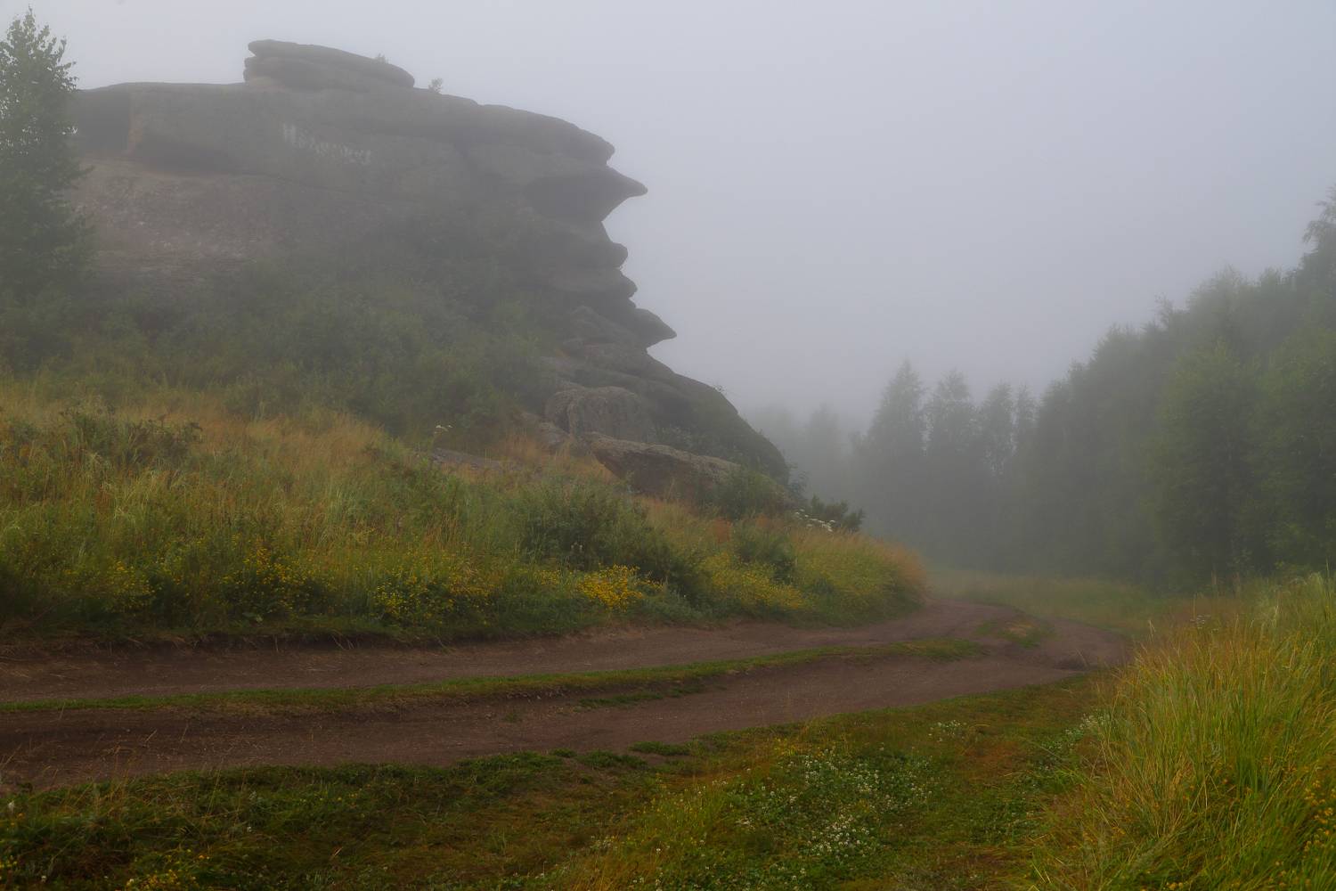 , Евгений Зинов