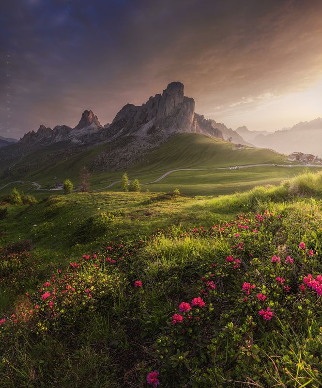 Blooming Italy фото превью