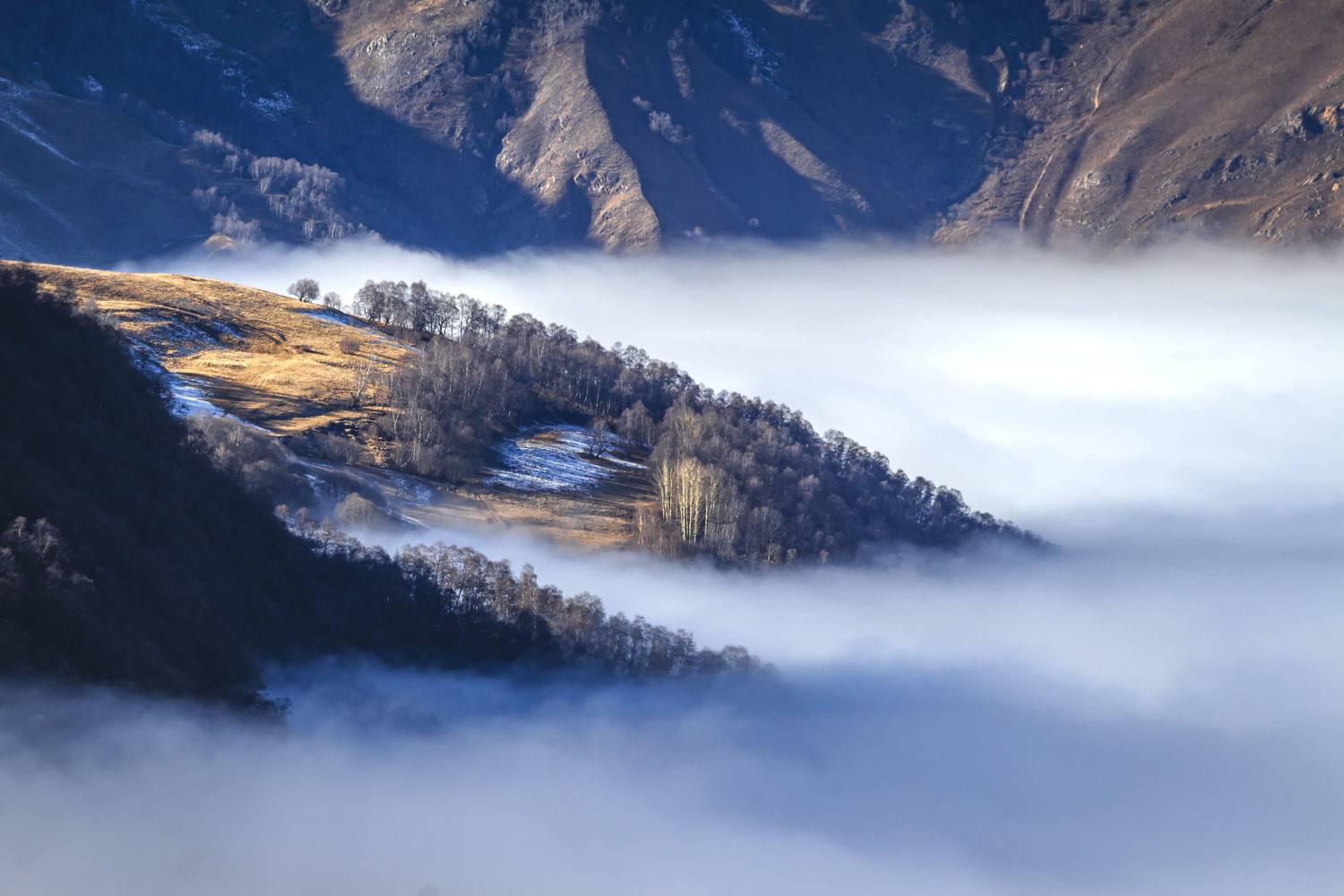 , Ольга Глухарёва