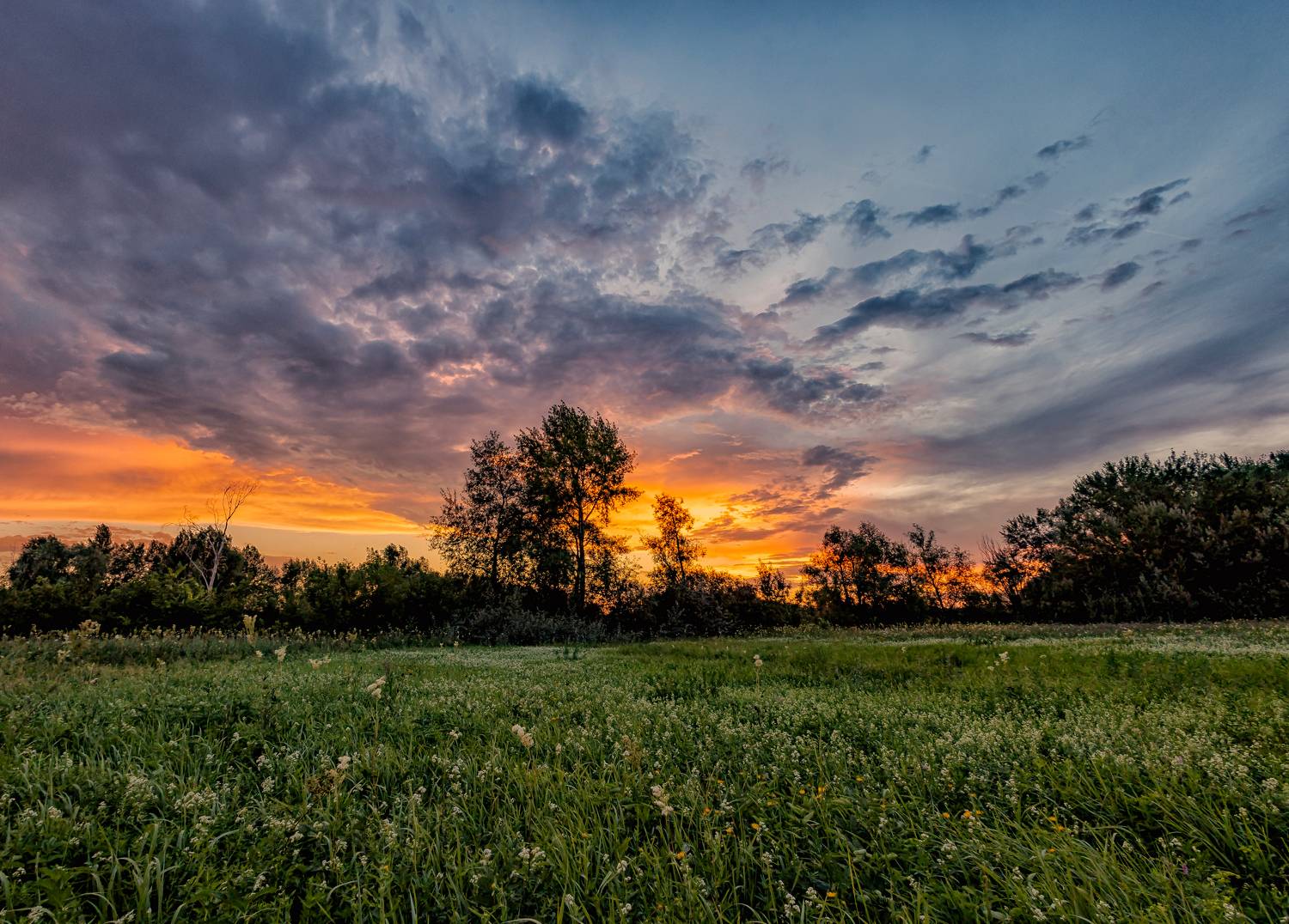 , Подосинников Максим