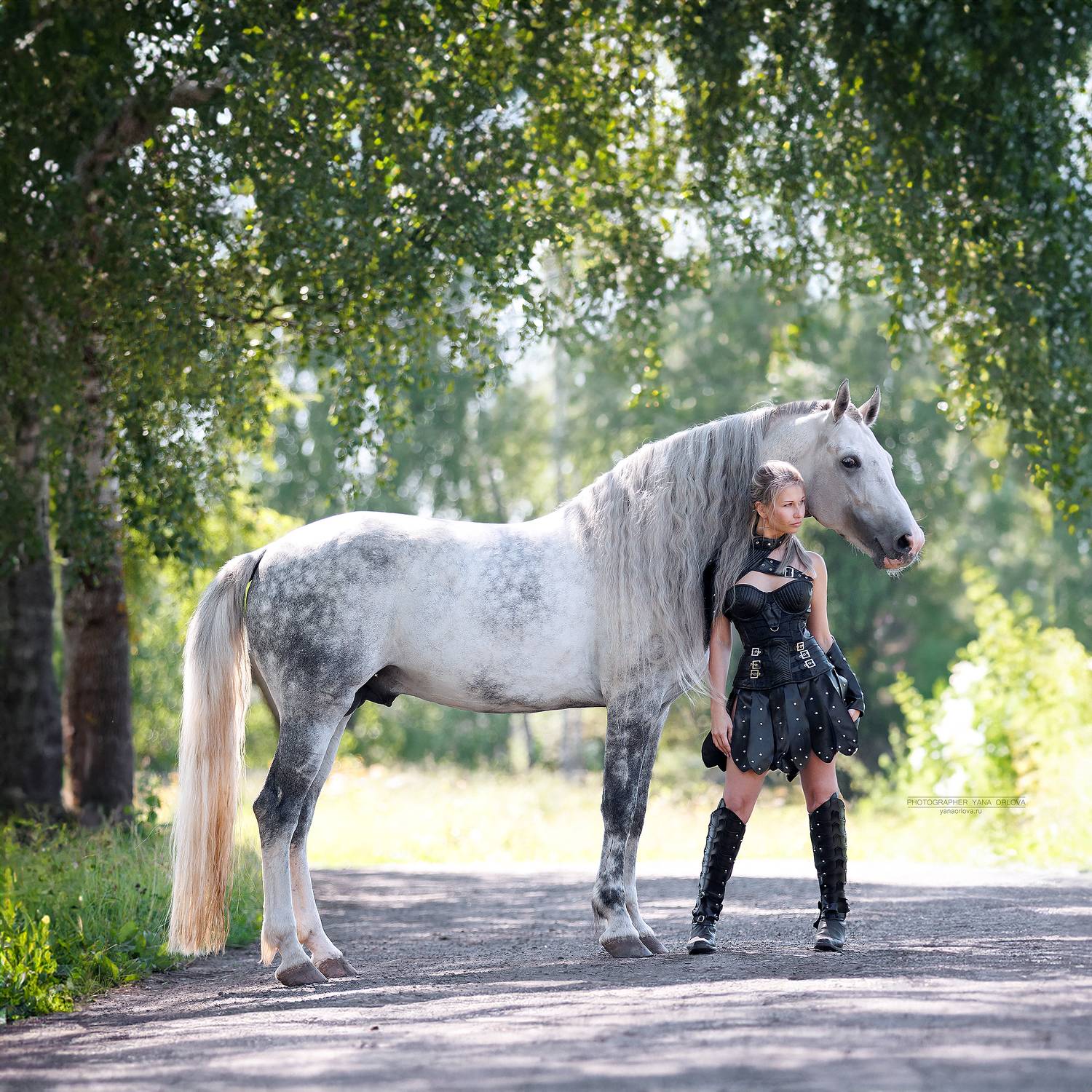 horse, horses, лошадь, конь,  конный фотограф Яна Орлова, конныйфотограф, кэнон, canon, 7020028, лошади, фотографияслошадью, фотосессияслошадью, фотосессиислошадьми, коннаяфотография, pferd, horsephotographer, женский портрет, девушка , Яна Орлова