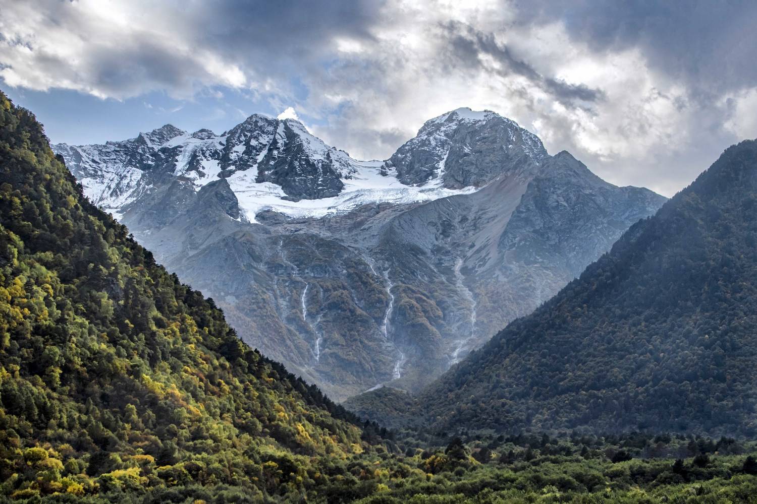 , Ольга Глухарёва