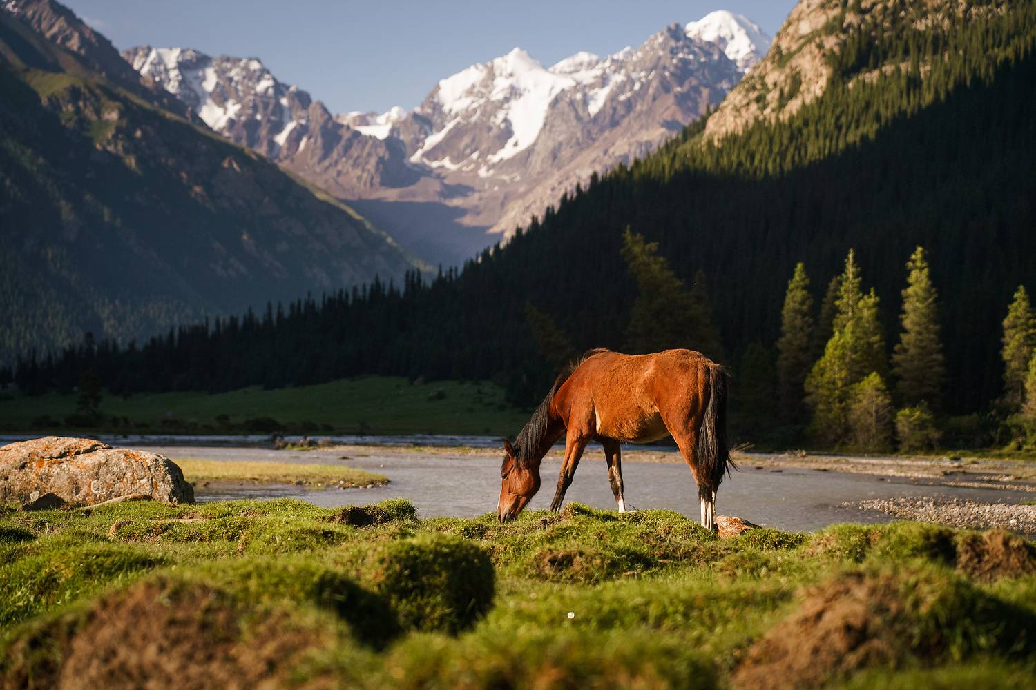кыргызстан, киргизия, kyrgyzstan, kyrgyziya, тянь-шань, пейзаж, горы, Нерозя Александр