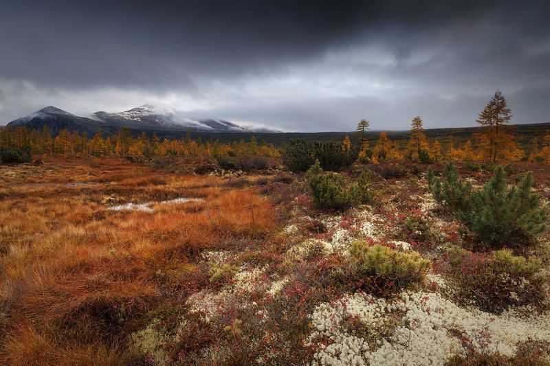 Колыма фото превью