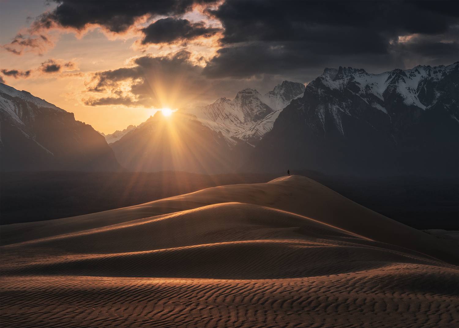 , Политова Анна